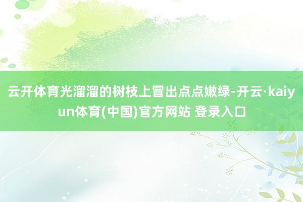 云开体育光溜溜的树枝上冒出点点嫩绿-开云·kaiyun体育(中国)官方网站 登录入口